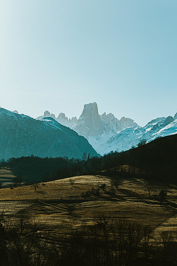 Green trees, snow-covered mountain, valley, nature HD phone wallpaper