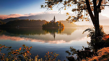 Lake Bled, Slovenia, mist, island, morning, reflection, trees, sky, water, church HD wallpaper