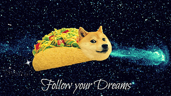 Doge Space HD wallpaper