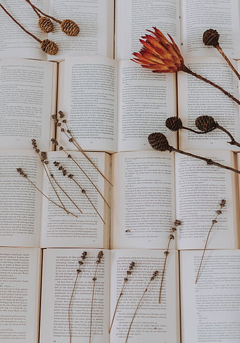 Delicate dried flowers and foliage on open books create a serene and artistic composition. HD phone wallpaper