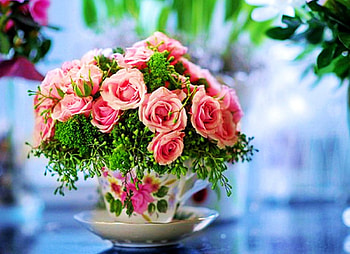 Pink Roses, still life, vase, bouquet, blossoms HD wallpaper
