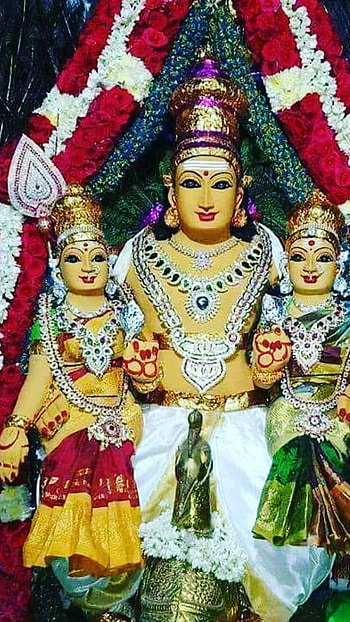 Murugan, sivasvamine, devotional, bhakti HD phone wallpaper