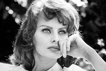 Sophia Loren movies, Actress , Classic portrait, Iconic HD wallpaper