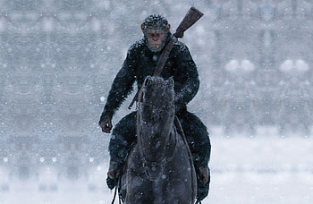 War For The Planet Of The Apes Movie, war-for-the-planet-of-the-apes, 2017-movies, movies HD wallpaper
