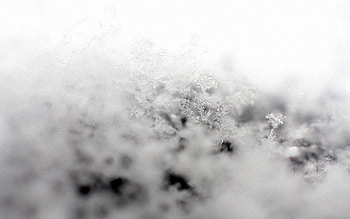 Snow, Snowflakes, Macro, Light, Light Coloured HD wallpaper
