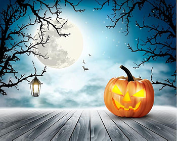 Moonlight, halloween, Lantern, moon, bats, Pumpkin HD wallpaper