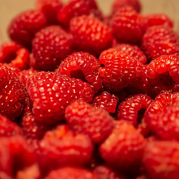 Raspberry, Berries, Macro, Fruit HD phone wallpaper