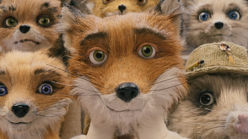 Fantastic Mr. Fox, Quirky animation, Crafty character, Captivating adventure HD wallpaper