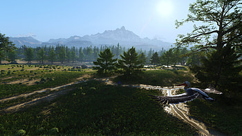 Tom Clancy's Ghost Recon Breakpoint, nature, Animal, video game, bird HD wallpaper