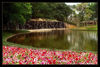 Summer Park, art , waterfalls, beautiful, small, park, reflection, red, trees, flowers, water HD wallpaper