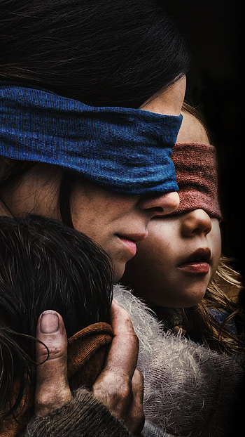 Bird Box, Sony Xperia , , Visual aesthetic HD phone wallpaper