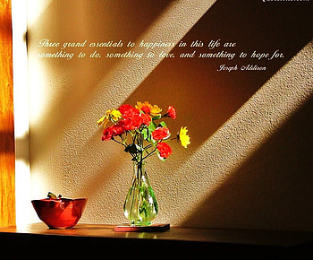 Essentials, red bowl, joseph addison, vase, quote, streaks, yellow and red flowers HD wallpaper
