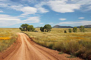 A sunny countryside landscape with a winding dirt road, trees, and mountains in the distance. HD wallpaper