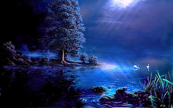 Swan lagoon, night, blue, swans, birds, trees, water HD wallpaper