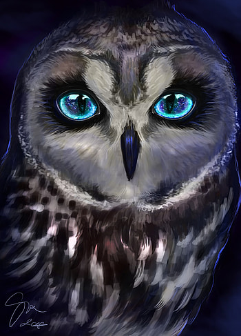 Art, Owl, Bird, Sight, Opinion HD phone wallpaper