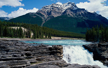 Jasper National Park, jasper, trees, national, mountains, water, park HD wallpaper