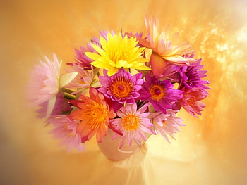 Flowers, Bright, Blur, Smooth, Bouquet, Vase HD wallpaper