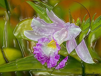 HEART OF IRIS, HEART, IRIS, ABSTRACT HD wallpaper