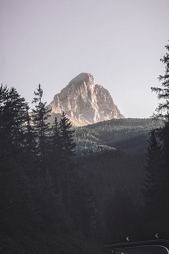 Landscape, Nature, Trees, Mountains, Vertex, Top, Forest HD phone wallpaper