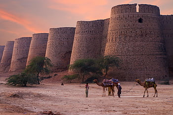 Scenic view of Derawar Fort's towers at sunset in the Punjab desert with camels and people. HD wallpaper