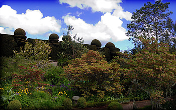 Nature, Grass, Stones, Park, Handsomely, It's Beautiful HD wallpaper