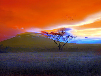 Colors of Nature, beautiful HD wallpaper