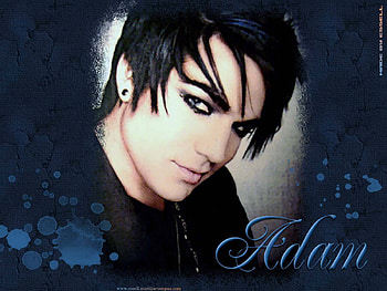 adam lambert, sexy, black, music, red, hot, cool, cute HD wallpaper