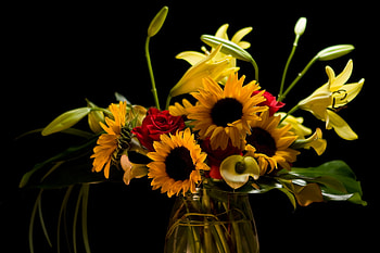 sunflowers bouquet, still life, bouquet, flowers, sunflowers HD wallpaper