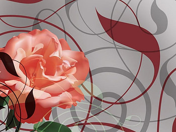 Rose, abstract HD wallpaper