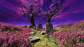 Ps2core / Dreamcore Pink Aesthetic Meadow Gravesite HD wallpaper