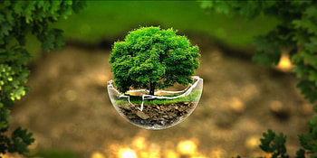 Earth Day Nature { 50 + Best Collection }, Save Earth HD wallpaper