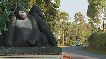 Virunga National Park, Activity fees, Tourism, Congo HD wallpaper