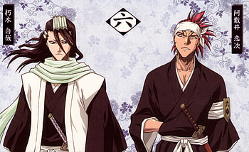 division n�6, capitaine, 13, kuchiki, bleach, abarai, gotei, anime, renji, byakuya, vice-capitaine, symbole, division HD wallpaper