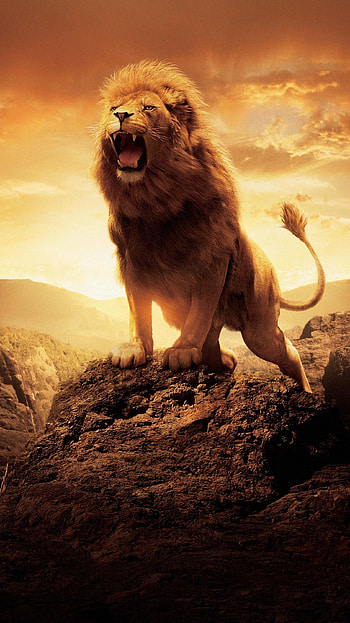 The Chronicles of Narnia: The Lion, the Witch and the Wardrobe (2022) movie HD phone wallpaper