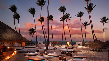 paradise Rosort, chairs, resorts, palm trees, evening HD wallpaper