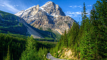lonley highway through yoho np in canada r, sky, r, mountains, highway, forest HD wallpaper