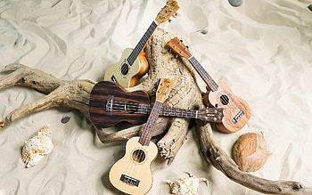 Flight, Ukulele HD wallpaper