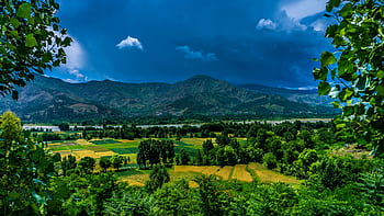 Scenic view of Kalam Valley in Pakistan with lush greenery and mountains. HD wallpaper