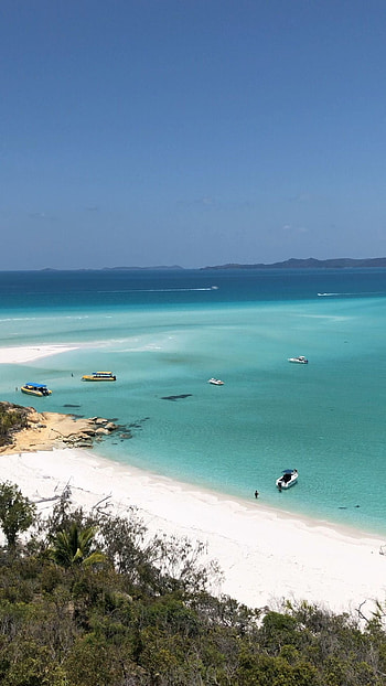 Whitsunday Islands, Best beach, Australian paradise, Travel video HD phone wallpaper
