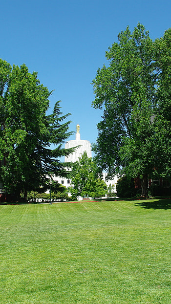 Willamette University, Capitol in background, Salem Oregon, Travels HD phone wallpaper