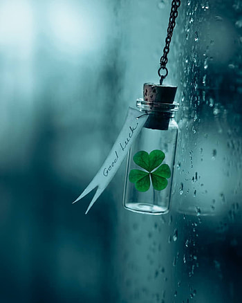 Good Luck, Best of Luck HD phone wallpaper