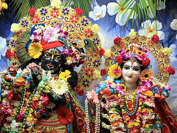 ISKCON Vrindavan. Radha Krishna HD wallpaper