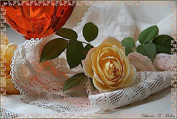 Afternoon serenity, graphy, lace, serenity, beauty, abstract, flower, naturalness, grapher, artist, tranquility, roses, art, color, soft, Afternoon, nature, doft HD wallpaper