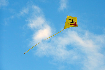 Wing, Color, Yellow Lifestyle, Toy HD wallpaper