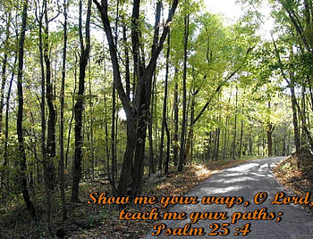 Show Me The Way, scripture, path, trees, backwoods, verse, christian, forest HD wallpaper