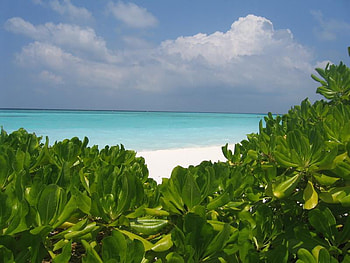 Looking through, sky, sand, ocean, beach HD wallpaper