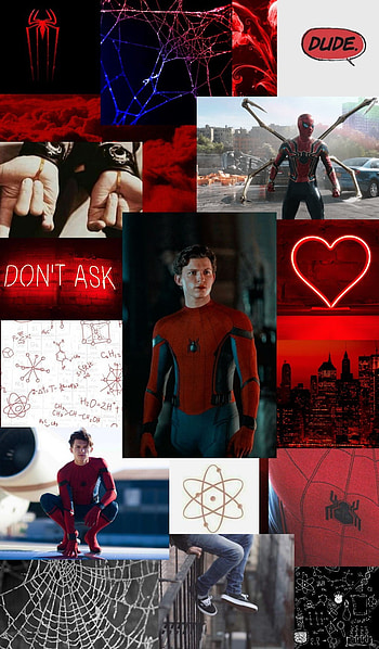 Spider man, Tom Holland Spider man, Spider-man, Spider man no way home, Spider man nwh, MCU, Marvel, Spiderman HD phone wallpaper