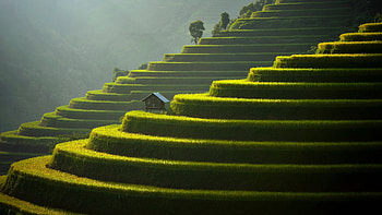 Mountain farms, greenery, nature HD wallpaper