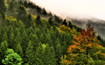 Autumn in my mountains, autumn, mountains HD wallpaper
