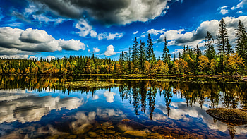 Lake Reflection, water, reflection, foerst, lake HD wallpaper